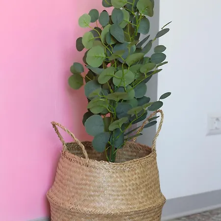 Toctoc Apartmán Katánie